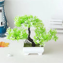 Bonsai Decorativo com Vaso Branco – 25cm | Toque de Paz para Seu Ambiente